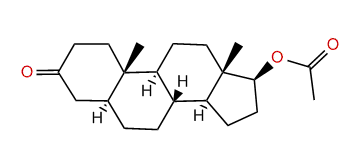 3-Oxoandrostan-17-yl acetate